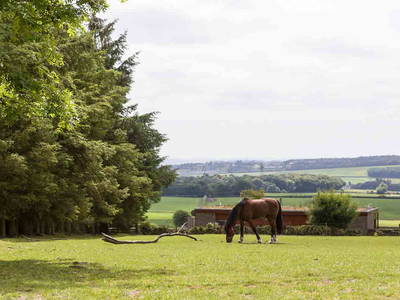 Bild 24 aus  The Hideaway Experience