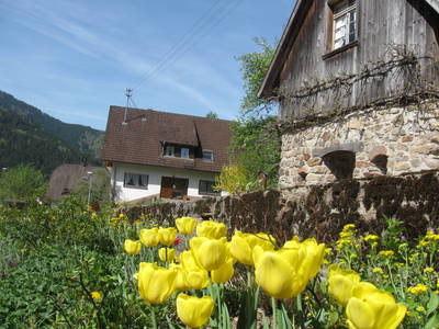 Frühlingserwachen am Schingerhof