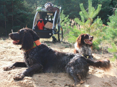 Bild 10 aus  Waldhof Bruchmühle