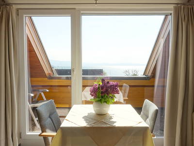 Bild 14 aus  Weinbau Wendelin Hornstein