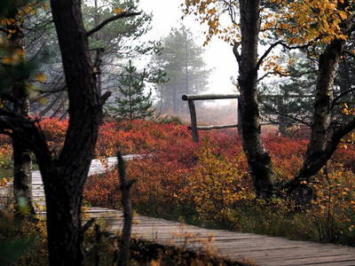 Bild 13 aus  Der Wassermannshof