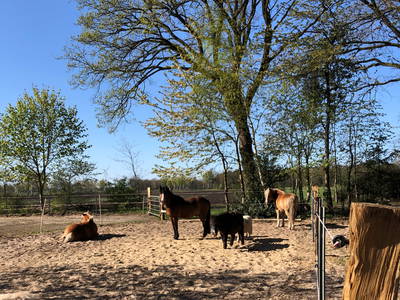 Bild 37 aus  Ferienhof Tödter