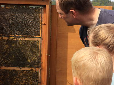 Bild 78 aus  LandSelection Ferienhof Zur Hasenkammer