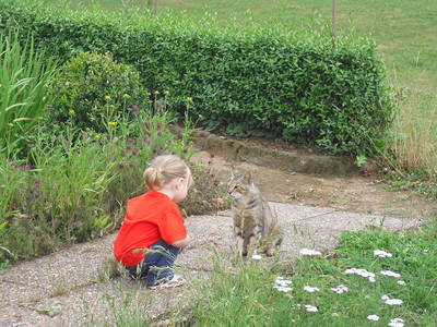 Bild 5 aus  Ferienhof Neue Mühle