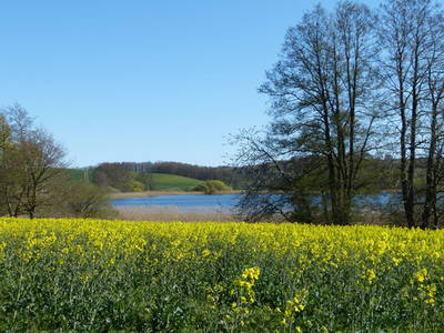 Bild 8 aus  ÜbermSee
