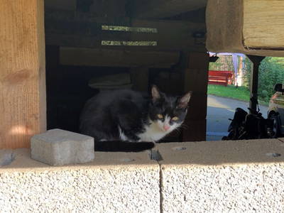 Bild 33 aus  Hof in Liebesdorf