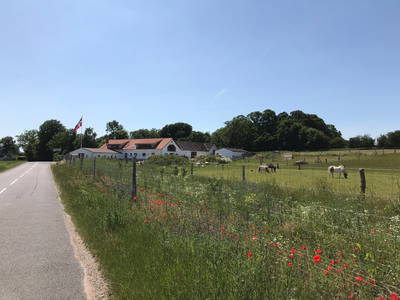 Bild 4 aus  Nordgården- Ferien auf dem Land