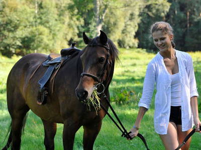 Bild 10 aus  Hof Flottwedel