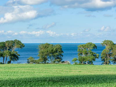Bild 106 aus  LandSelection Ferienbauernhof Liesenberg mit traumhaften Meerblick