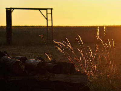 Bild 13 aus  Historische Schäferei