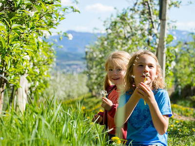 Bild 16 aus  Zolerhof  Nachhaltig   CIN IT021116B5THTZCJJR