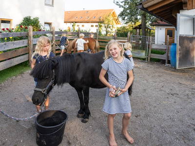 Bild 43 aus  LandSelection Hagerhof