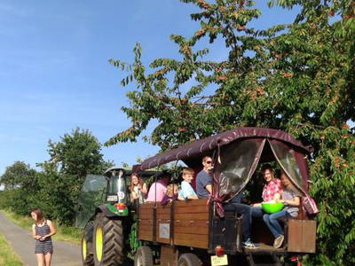 Bild 33 aus  Familienbauernhof Faß