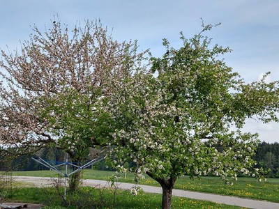 Bild 12 aus  Kebachhof