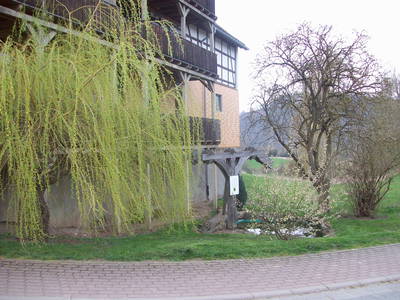 Bild 24 aus  Bauernhof Büchsenschütz