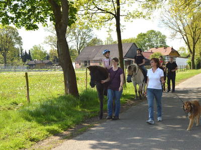 Bild 18 aus  Dennhornshof