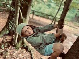 Bild 16 aus  Soodehof  Eins - Ihr Kinder-Erlebnisbauernhof in Nordhessen