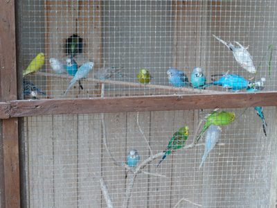 Bild 13 aus  Ferienhof Gerstandt