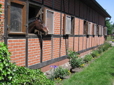 Bild 2 aus  Hof Immenknick *** idyllischer Reiterhof