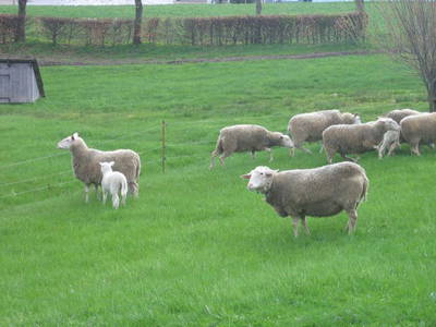 Bild 6 aus  Vogtlandhof Hohe Reuth