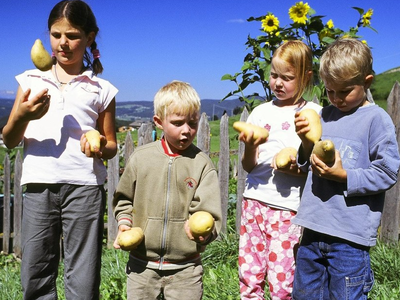 Bild 14 aus  Pristinger Hof