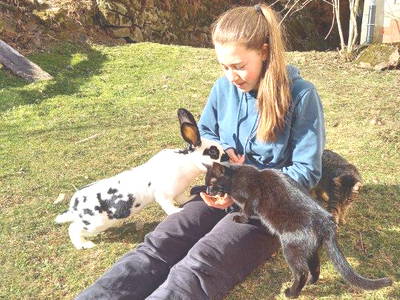 Bild 9 aus  Waidelehof