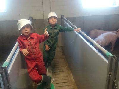 Bild 13 aus  Kreuger's Hof