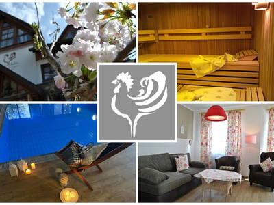 Bild 11 aus  Goldener Hahn - Hyggeliges Aparthotel mit Frühstücksbuffet, Pool & Sauna