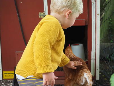 Bild 19 aus  Ferienhof Wübbold