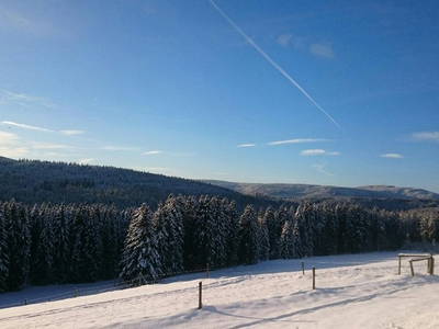 Bild 25 aus  Hilpertenhof