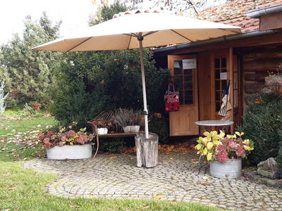 Bild 41 aus  Erlenhof im Oderbruch - Rund ums Schaf