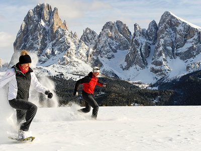 Bild 12 aus  Pristinger Hof