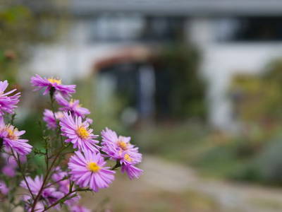 Bild 8 aus  Alte Scheune Rietzschelhof