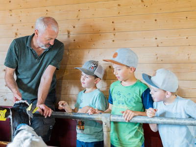 Bild 37 aus  Schädlerhof