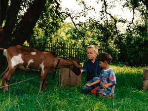 Bild 5 aus  Ferienhof Geray