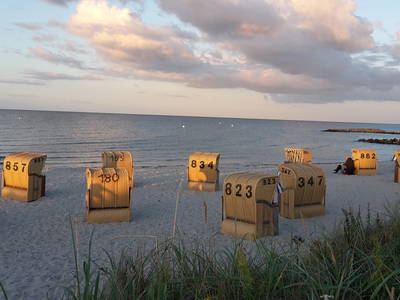 Bild 18 aus  Hof Muhs