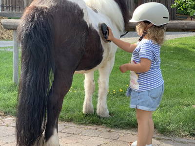 Bild 9 aus  Ferienhof Sennert im Odenwald