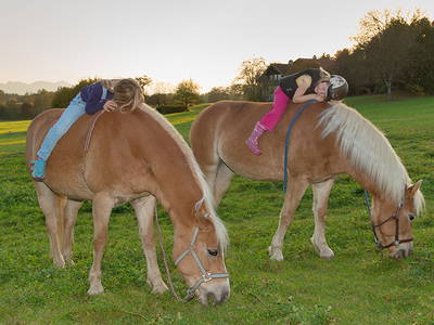 Bild 24 aus  Marksteinhof