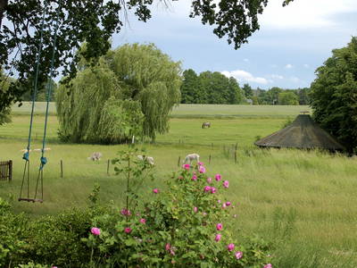 Bild 36 aus  Gut Sommereichen