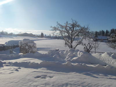 Bild 19 aus  Ferienhof Rummel