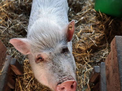 Bild 13 aus  Behringhof am Gamengrund