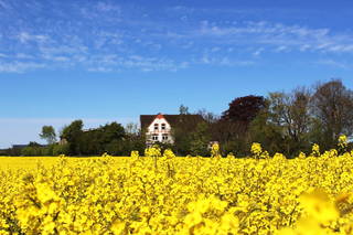 Hof Osterholz aus Loit