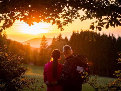 Bild 29 aus  Landurlaub im Sauerland auf dem Ferienhof Verse