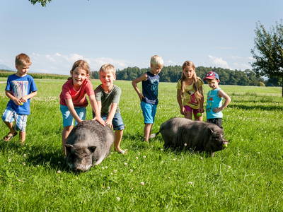 Bild 8 aus  Esterer Hof  ***** - Deutschlands Beliebtester Ferienhof 2022