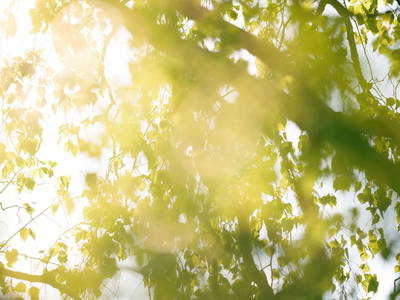 Bild 18 aus  NEUGRAD Eifel