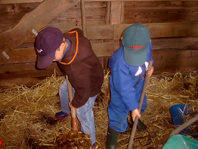 Bild 12 aus  Hof Letsch