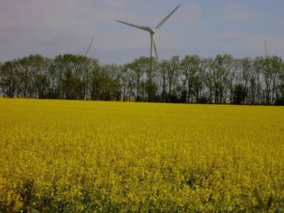 Bild 33 aus  Ferienhof Rauert