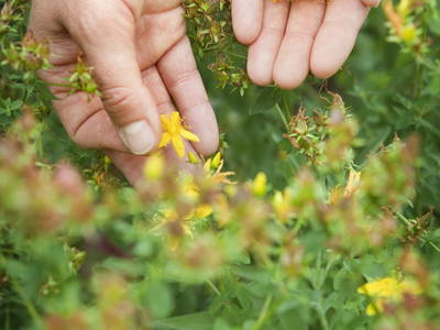 Bild 51 aus  LandSelection  *  WAIBELHOF *  AllgäuerAlpenWellness