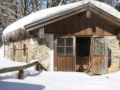 Bild 33 aus  Herbstbauernhof