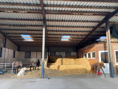 Spielscheune mit Strohburg und den Pferden nebenan